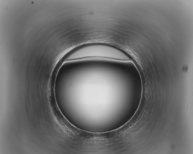 X0000091080536200708061048