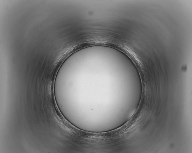 X0000091080537200708061048