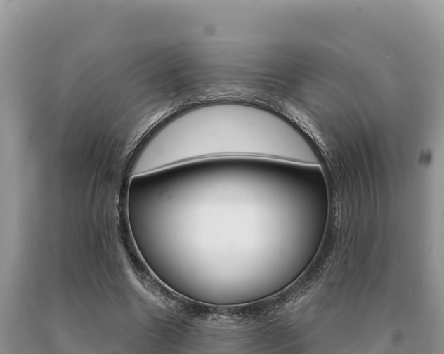 X0000091080538200708061048