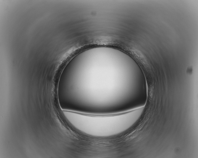 X0000091080540200708061048