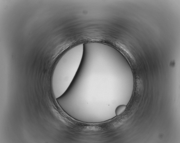 X0000091080541200708061048