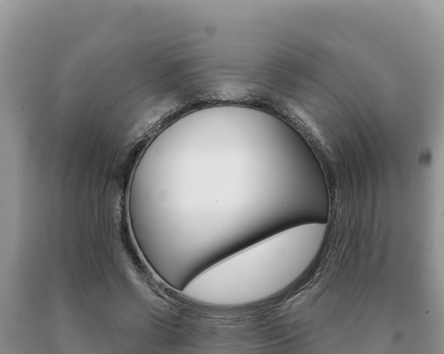 X0000091080542200708061048