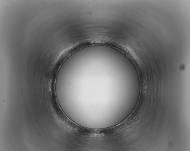 X0000091080543200708061048