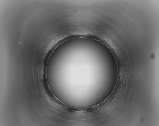 X0000091080544200708061048