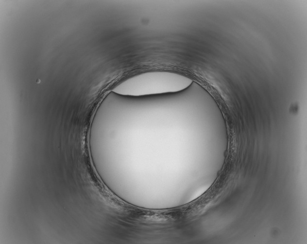 X0000091080545200708061048