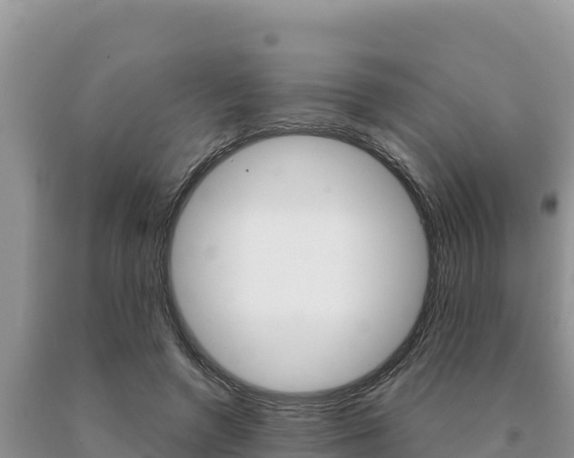 X0000091080546200708061048