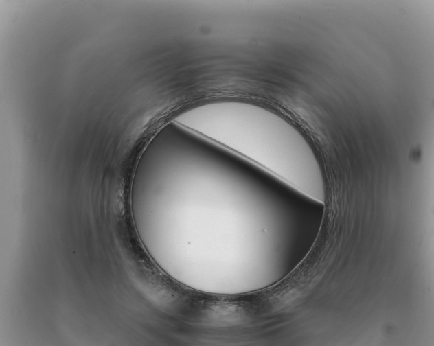 X0000091080547200708061048