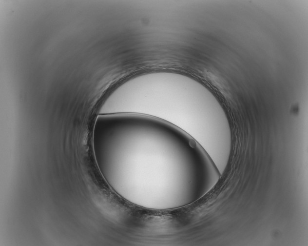 X0000091080548200708061048