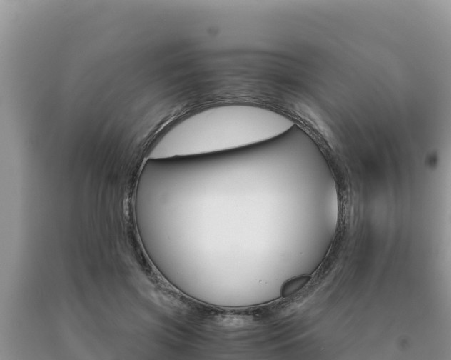 X0000091080549200708061048