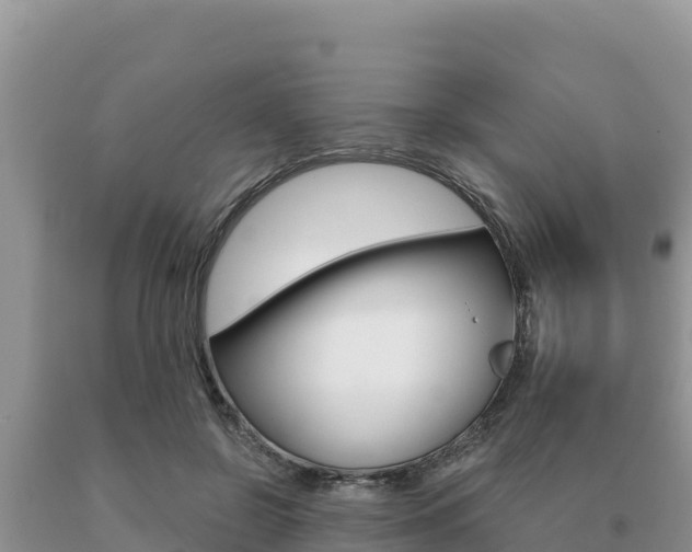 X0000091080550200708061048