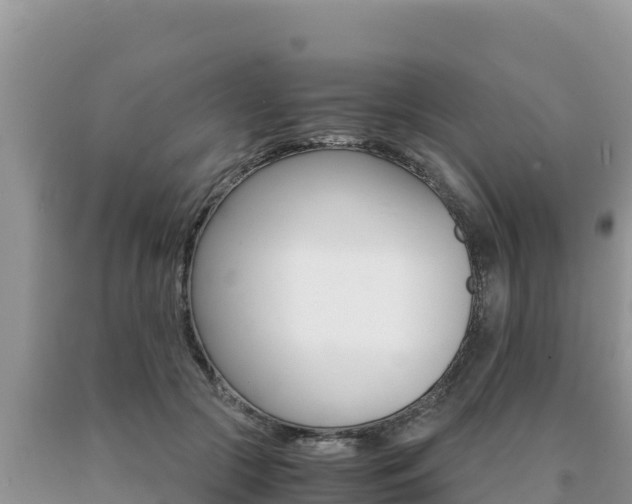 X0000091080553200708061048