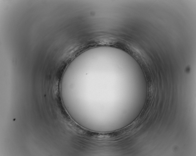 X0000091080554200708061048