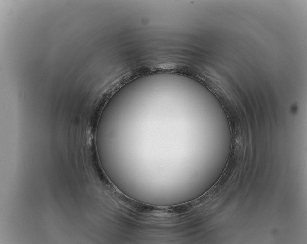 X0000091080555200708061048