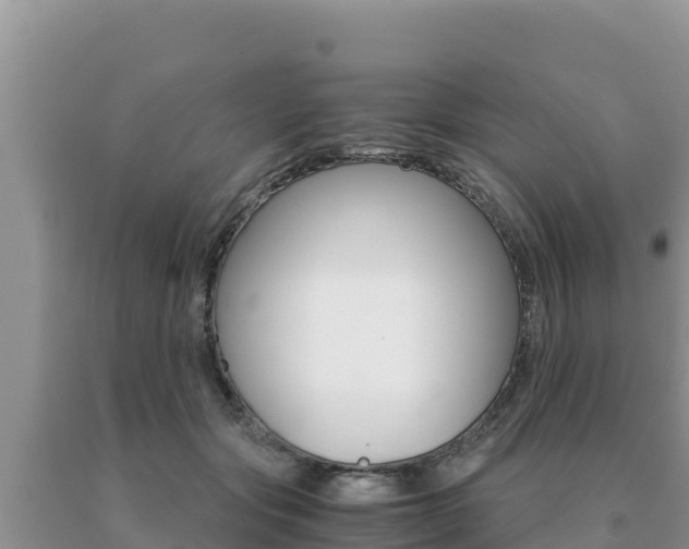 X0000091080557200708061048