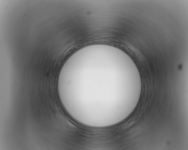 X0000091080558200708061048