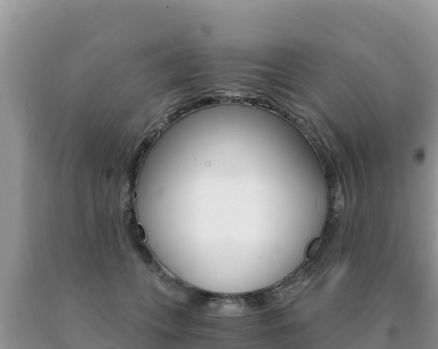 X0000091080559200708061048