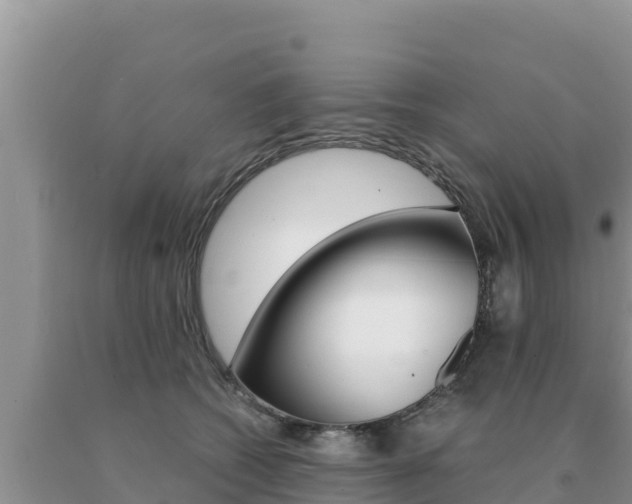 X0000091080562200708061048