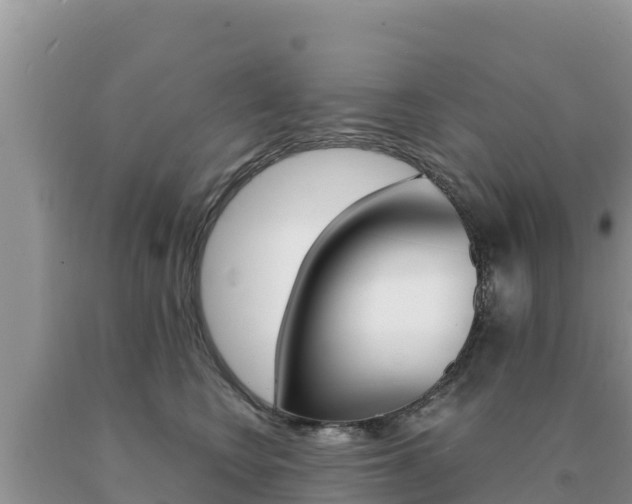 X0000091080566200708061048