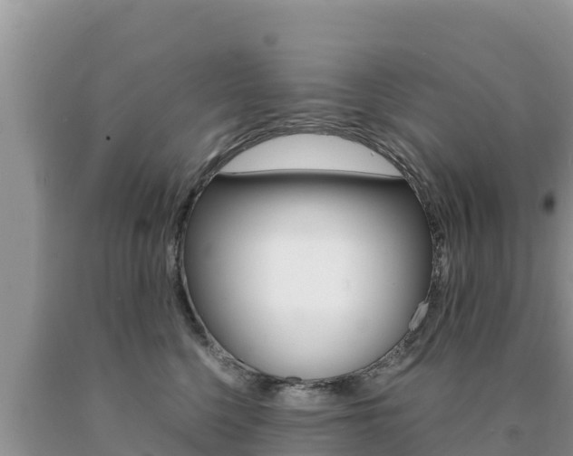 X0000091080568200708061048