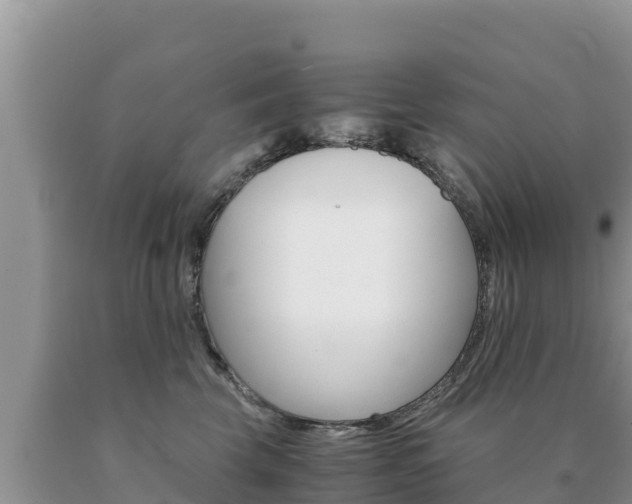 X0000091080569200708061048