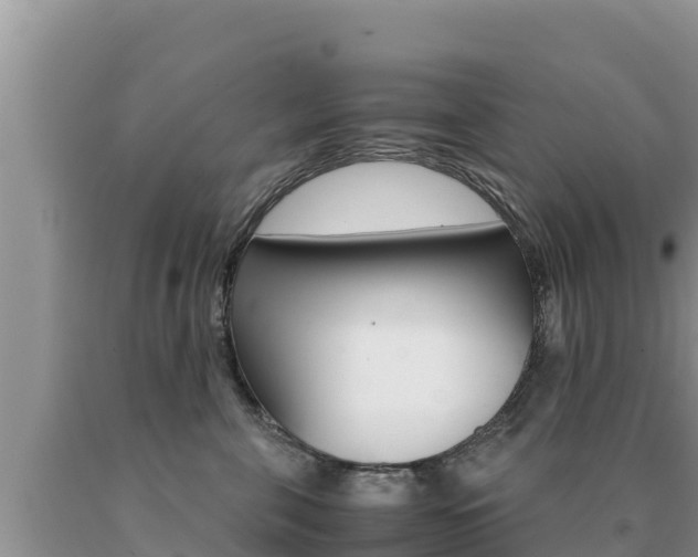 X0000091080571200708061048