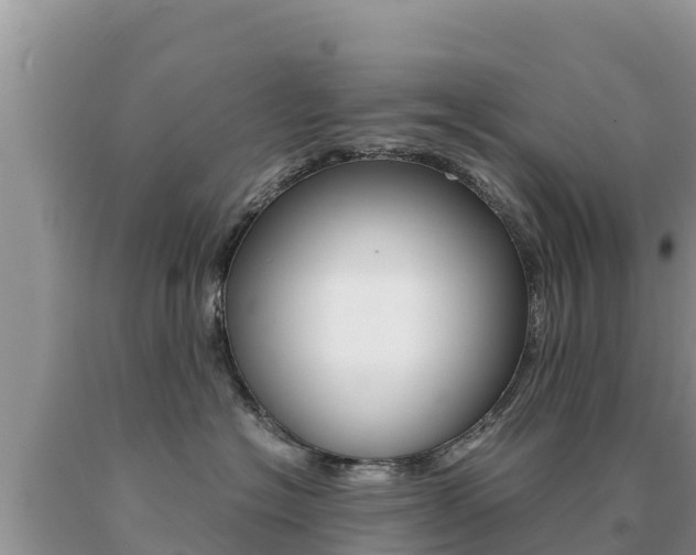X0000091080574200708061048