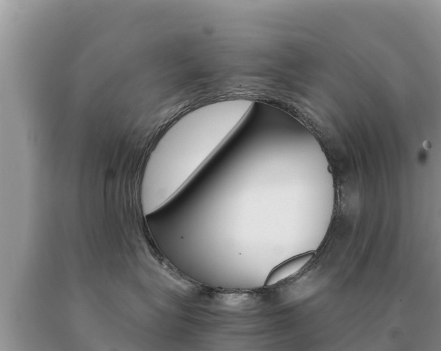 X0000091080575200708061048