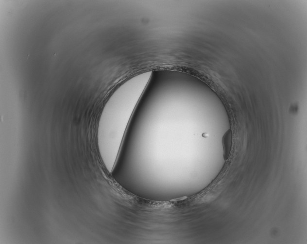 X0000091080576200708061048
