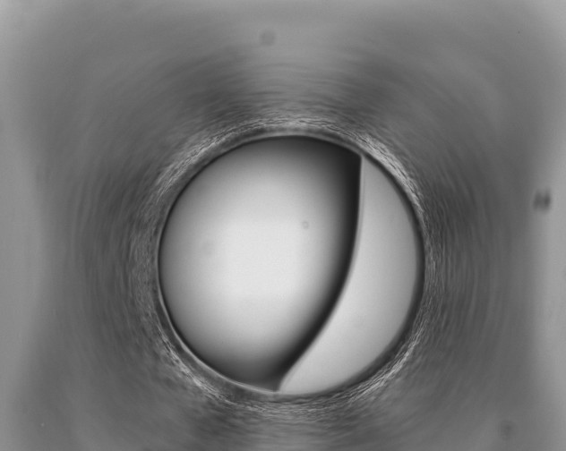 X0000091080577200708061047