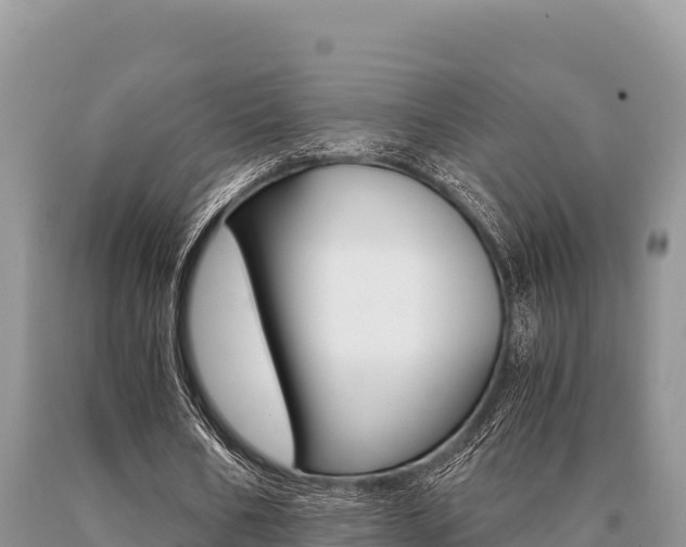 X0000091080578200708061047