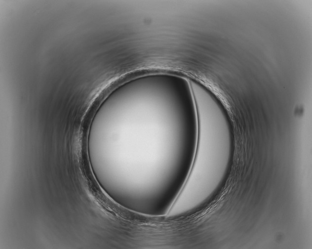 X0000091080580200708061047
