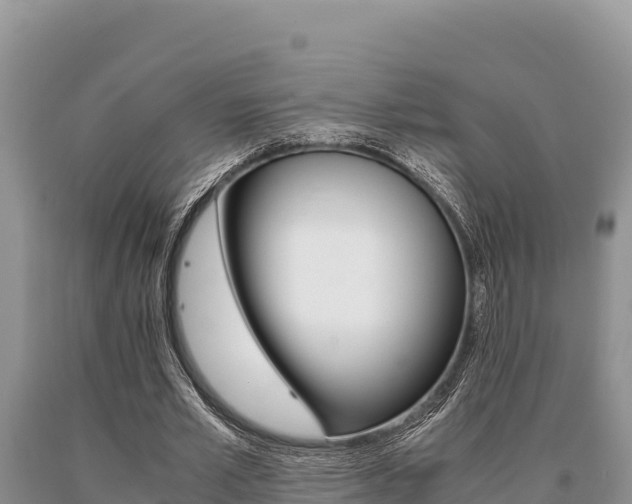 X0000091080581200708061047