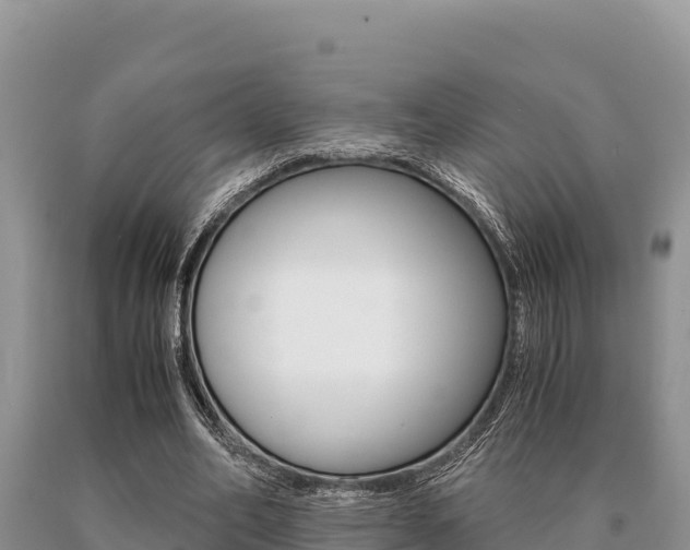 X0000091080582200708061047