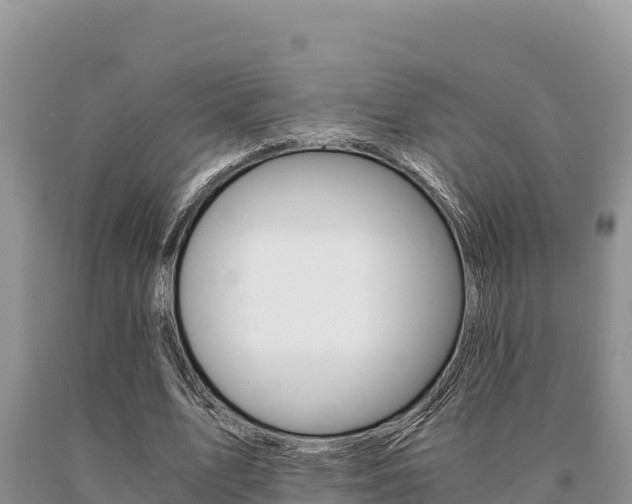 X0000091080583200708061047