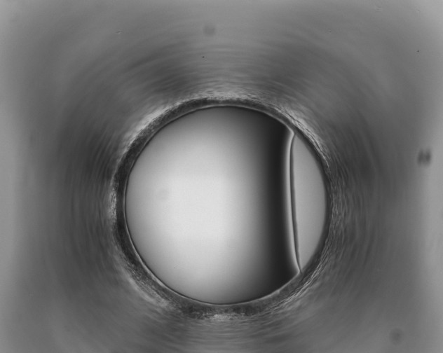 X0000091080584200708061047