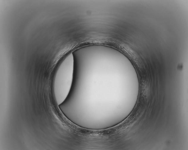 X0000091080586200708061047