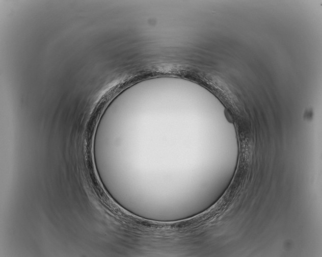 X0000091080587200708061047