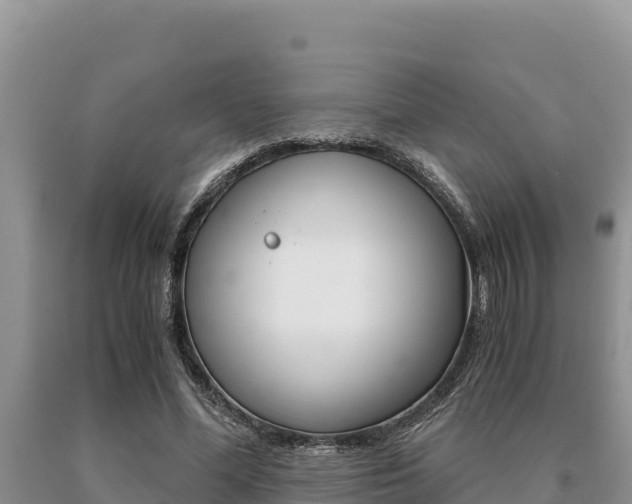 X0000091080588200708061047