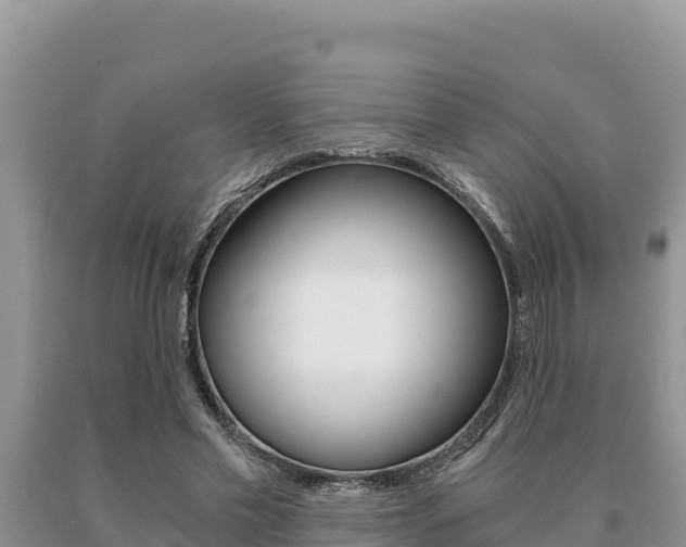 X0000091080589200708061047