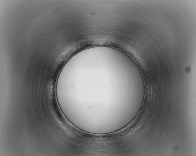 X0000091080590200708061047