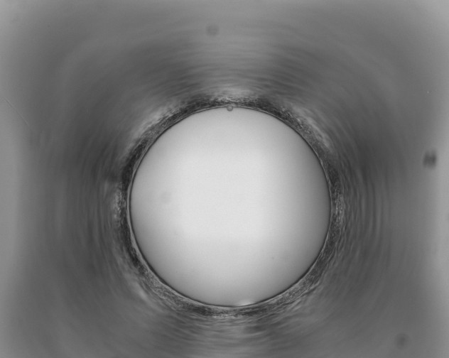 X0000091080591200708061047