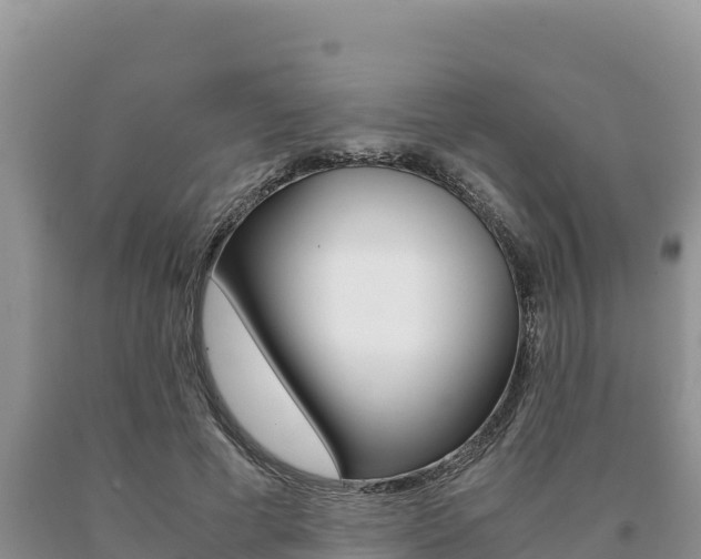 X0000091080593200708061047