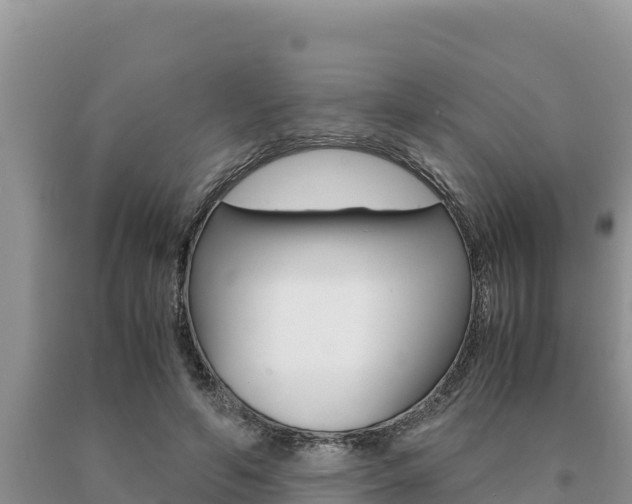 X0000091080594200708061047