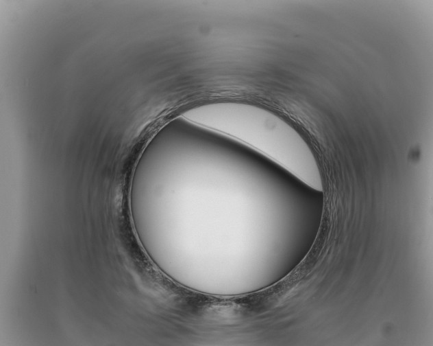 X0000091080595200708061047