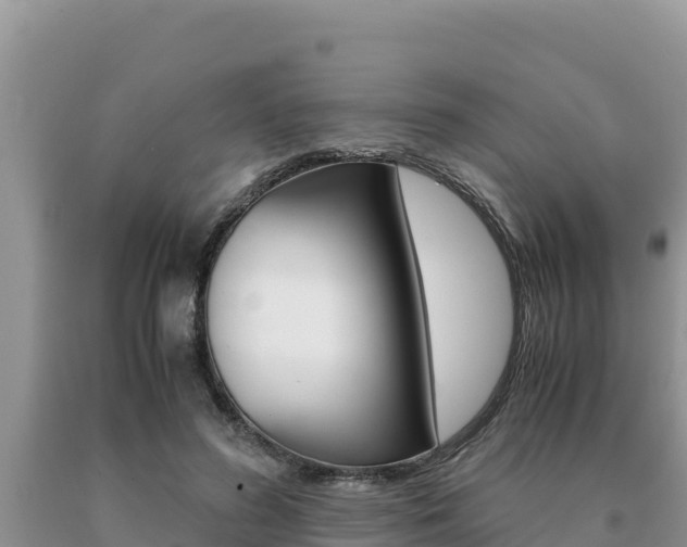 X0000091080596200708061047