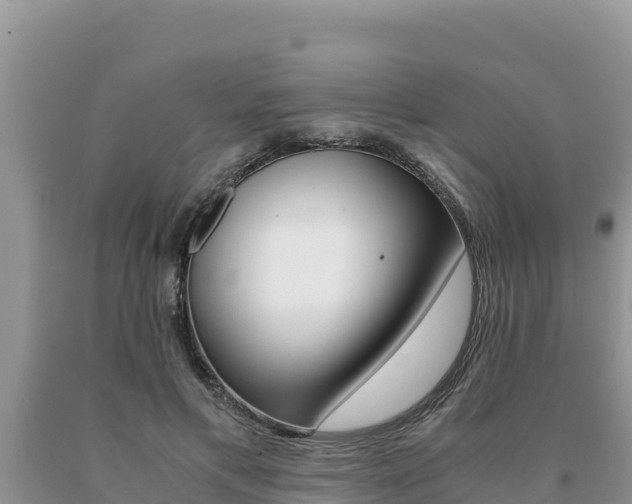 X0000091080597200708061047