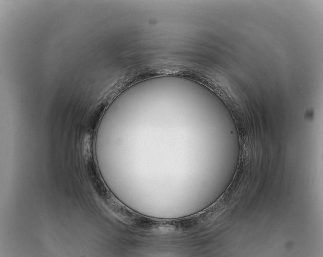 X0000091080598200708061047