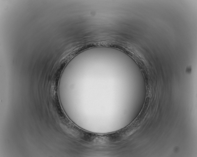 X0000091080599200708061047