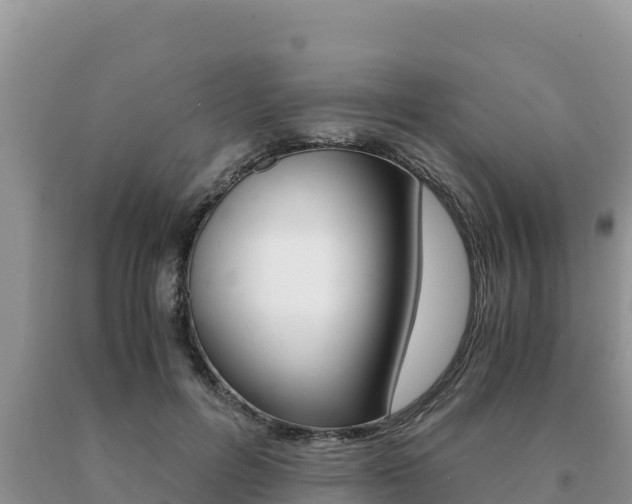 X0000091080600200708061047
