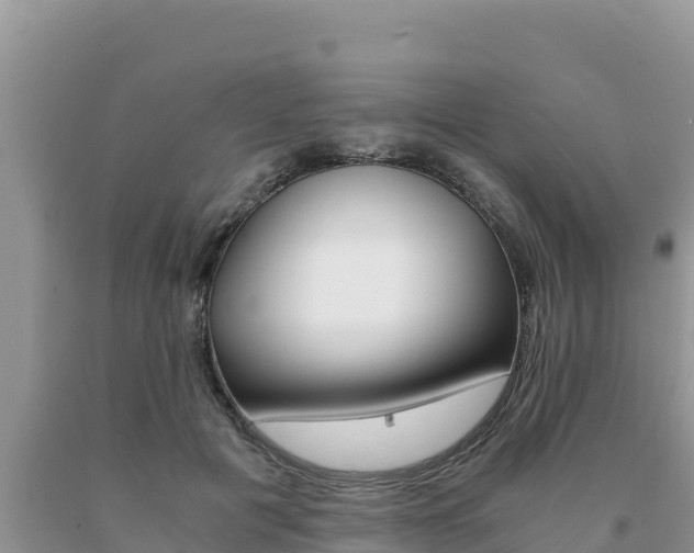 X0000091080601200708061047
